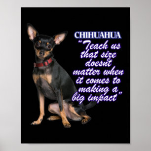 Poster Chihuahua nos ensina que o tamanho das portas quan