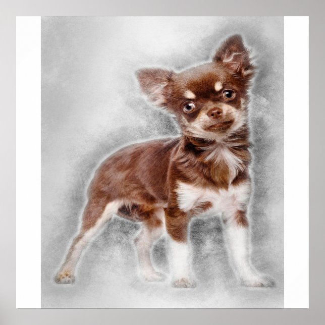 Poster Chihuahua olhando para o Camer_Dog Lover (Frente)