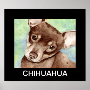 Pôster Chihuahua Portrait