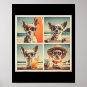 Poster Chihuahuas Legais Óculos de Sol Cachorros Fofos Ca