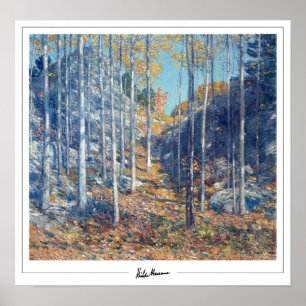 Poster Childe Hassam Zedign Cartaz de Arte #359