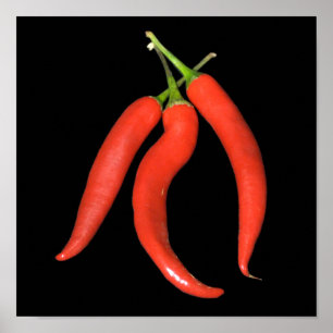 Poster chili
