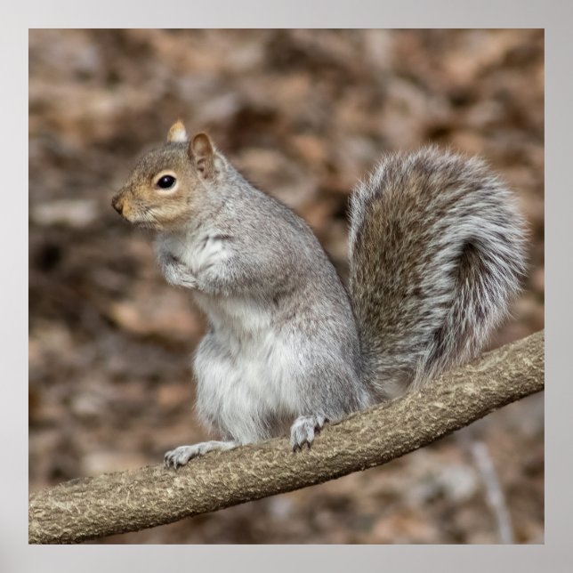 Poster Chill (Frente)