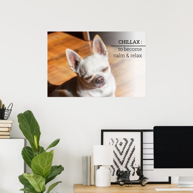 Poster Chillax Chihuahua sonolento língua relaxada Foto (Escritório em casa)