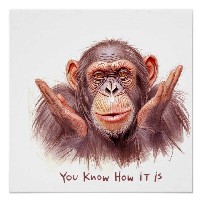 Pôster Chimp Telling You :"You Know How It Is" (Frente)