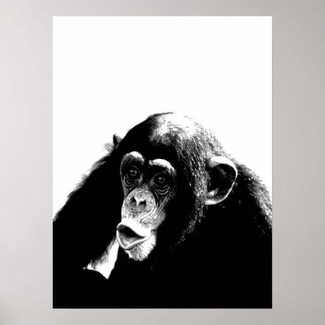 Poster Chimpanzé Branco Preto (Frente)