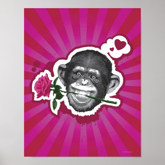 Poster Chimpanzé com Rosa na boca (Frente)