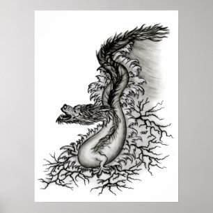 Pôster China-Drache