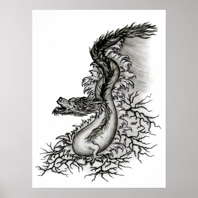Pôster China-Drache (Frente)