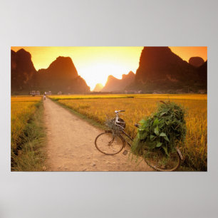 Pôster China, Guangxi. Yangzhou, Bicicleta no campo