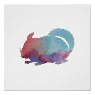 Pôster Chinchilla