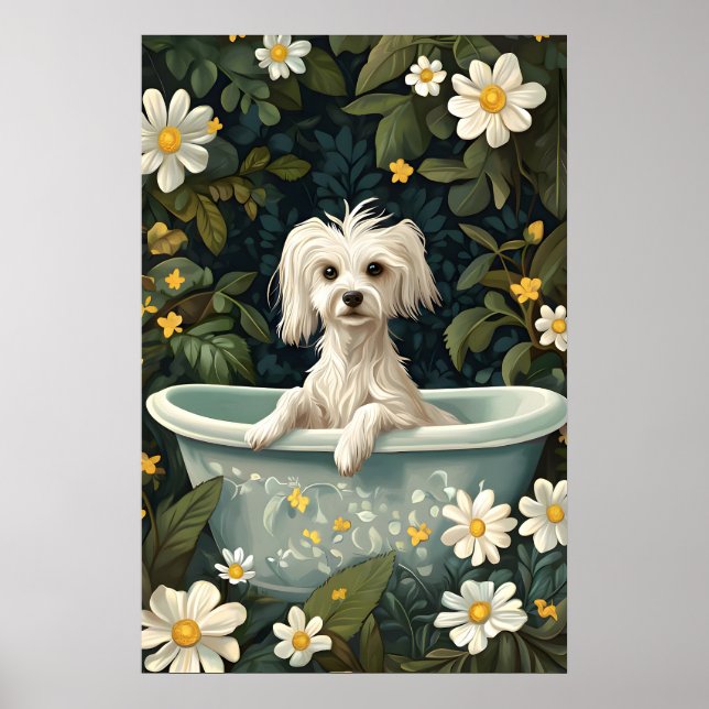 Poster Chinese Crested Dog In Bathtub Poster, Funny Dog (Frente)