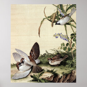 Poster Chinoiserie Vintage Pardais e Flores Roxas