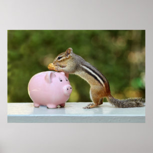 Poster Chipmunk Bonito com Imagem Bancária de Dinheiro En