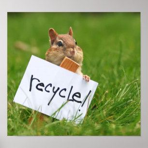 Pôster Chipmunk do reciclagem