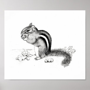 Poster Chipmunk e Acorns