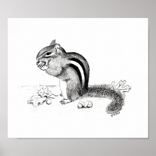 Poster Chipmunk e Acorns (Frente)