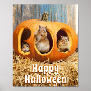 Poster Chipmunks Dentro Boo Jack-o-Lanterna