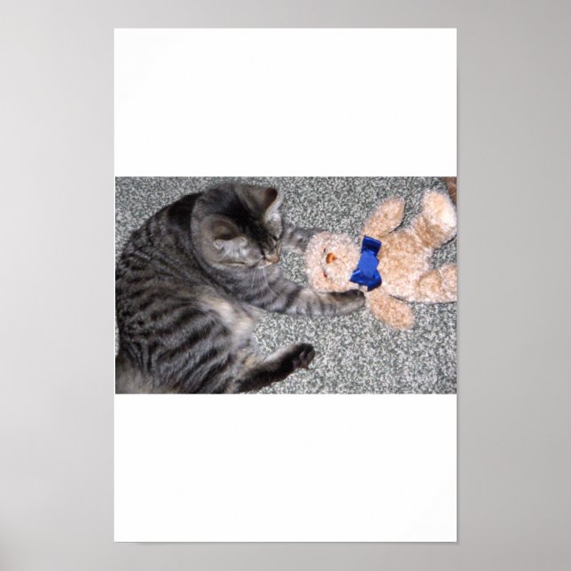 Pôster Chiro-Cat (Frente)