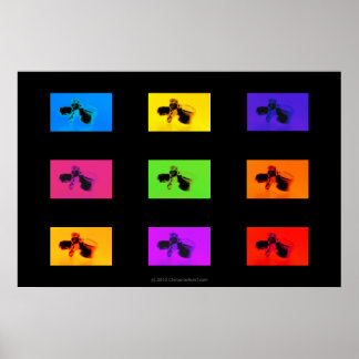 Poster Chiropractic: Funk das vértebras lombares