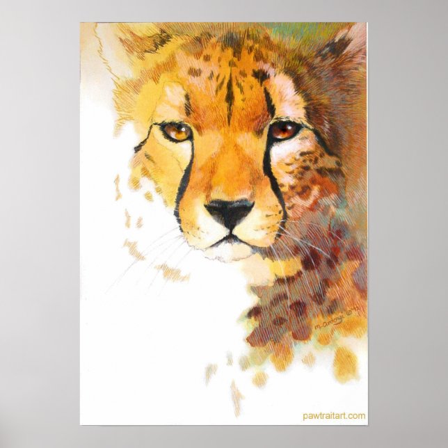 Pôster Chita! (Frente)