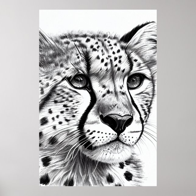 Poster Chita Animal Wild Nature Illustration Line Epic (Frente)