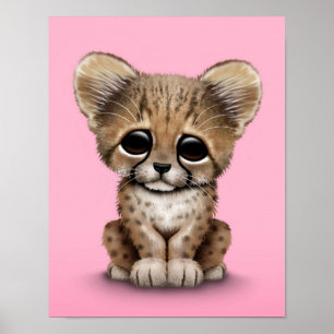 Pôster Chita bonito Cub do bebê no rosa