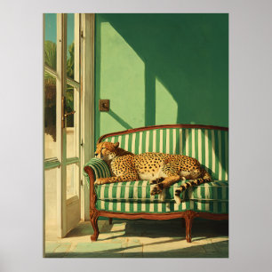 Poster Chita Descansando em Sala Iluminada pelo Sol