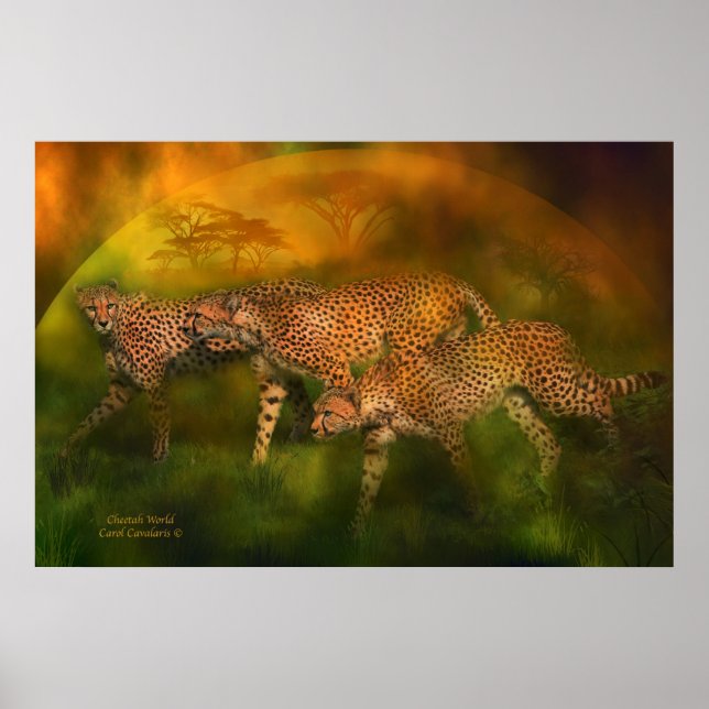 Pôster Chita World Art Poster/Impressão (Frente)