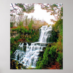 Pôster Chittenango Falls State Pak