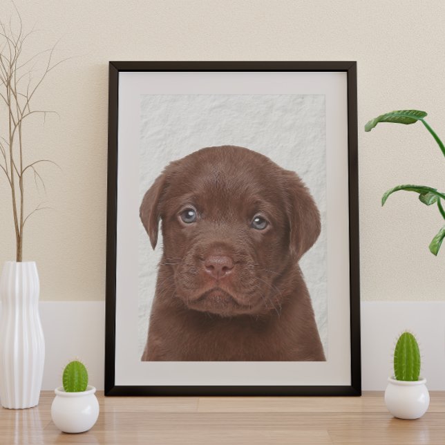 Pôster Chocolate Labrador Glossy Poster (Criador carregado)