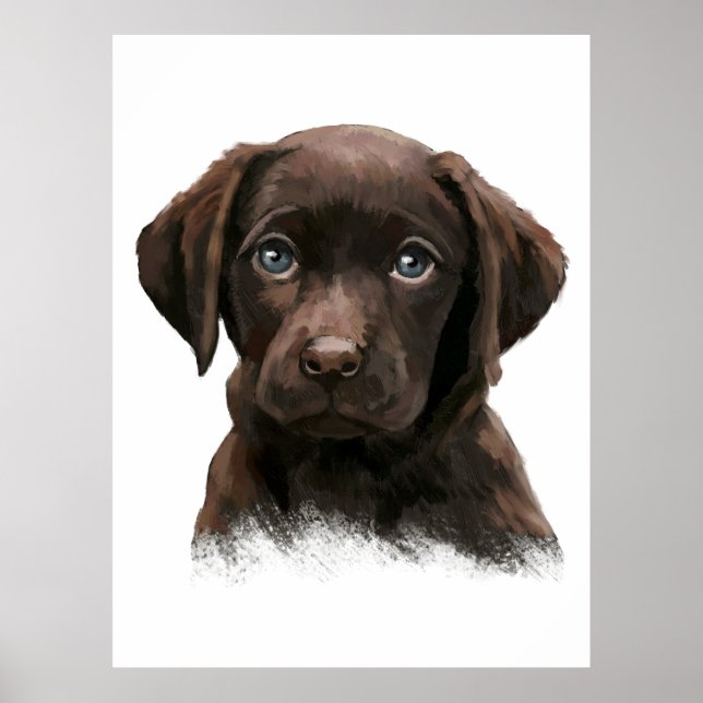 Poster Chocolate Labrador Retriever (Frente)