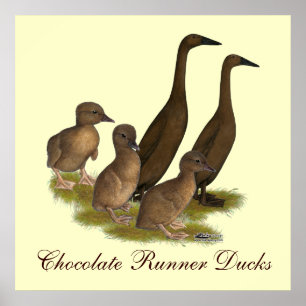 Pôster Chocolate Runner Duck Family