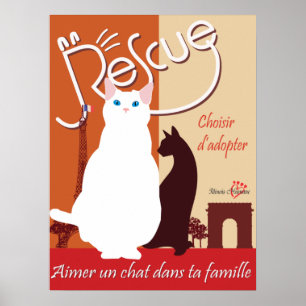 Poster Choisir d'adopter (Escolher adotar)