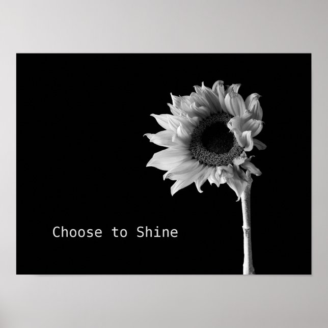 Pôster "Choose to Shine" Sunflower Black & White Portrait (Frente)