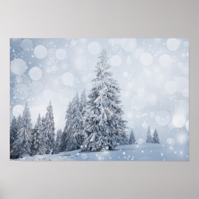 Poster Christmas Background With Snowy Fir Trees (Frente)