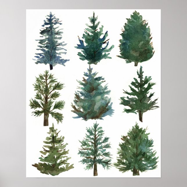 Poster Christmas Evergreen Trees Holiday Home Decor (Frente)