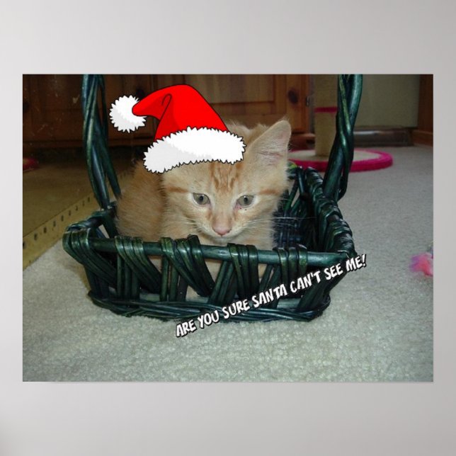 Poster Christmas Orange Tabby Kitten (Frente)