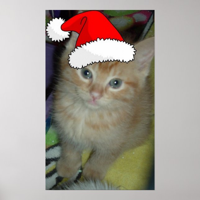 Pôster Christmas Orange Tabby Kitten (Frente)