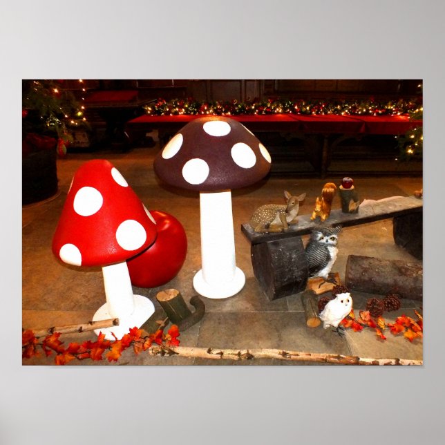 Pôster Christmas toadstools (Frente)