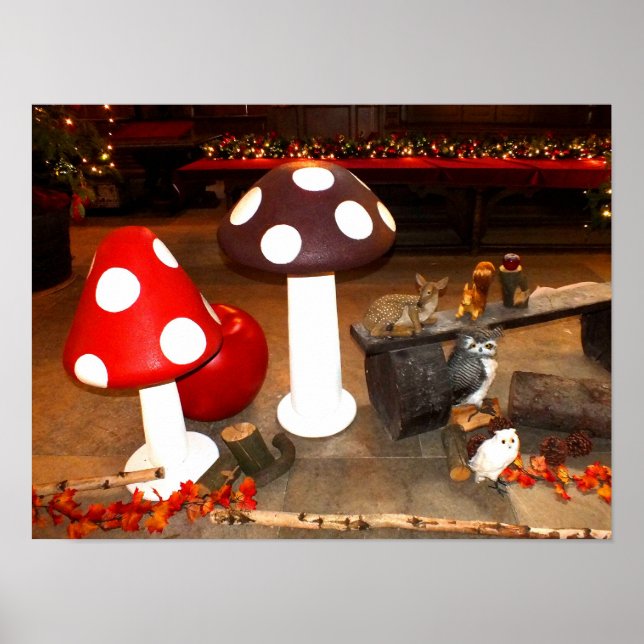 Pôster Christmas toadstools (Frente)