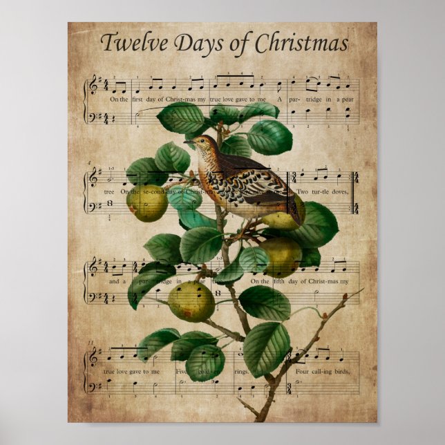 Poster Christmas Wall Art-Partridge in a Pear Tree (Frente)