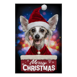 Pôster Christmas with Chinese Crested Dog