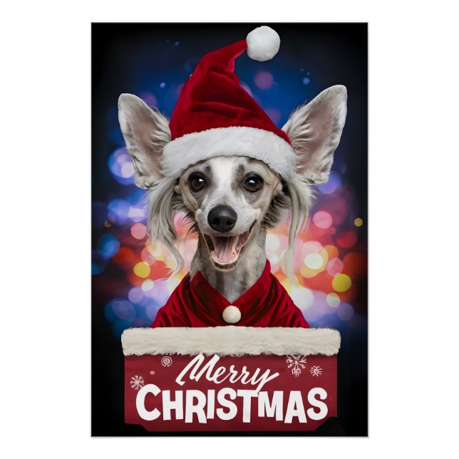 Pôster Christmas with Chinese Crested Dog (Frente)
