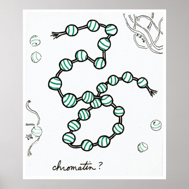 Poster Chromatin print (Frente)