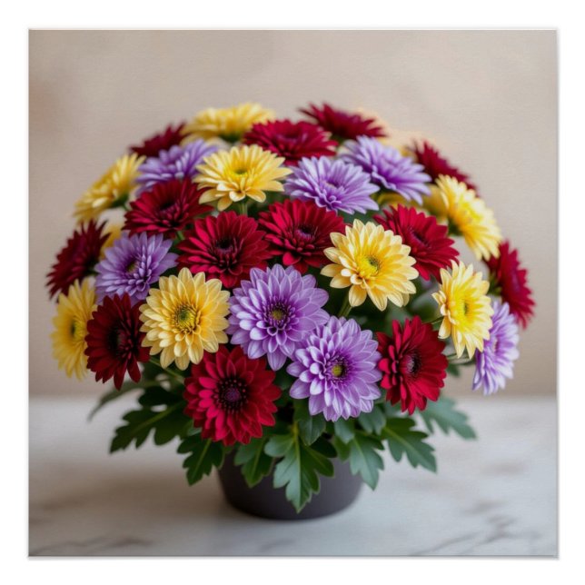Pôster Chrysanthemum (Frente)