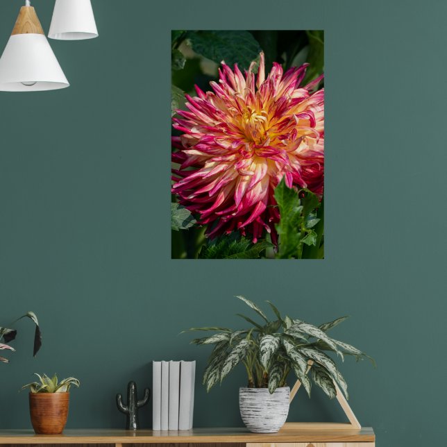 Poster Chrysanthemum Orange Canadian Flower Photoics (Sala de Estar 1)