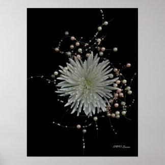 Poster Chrysanthemum & Pearls