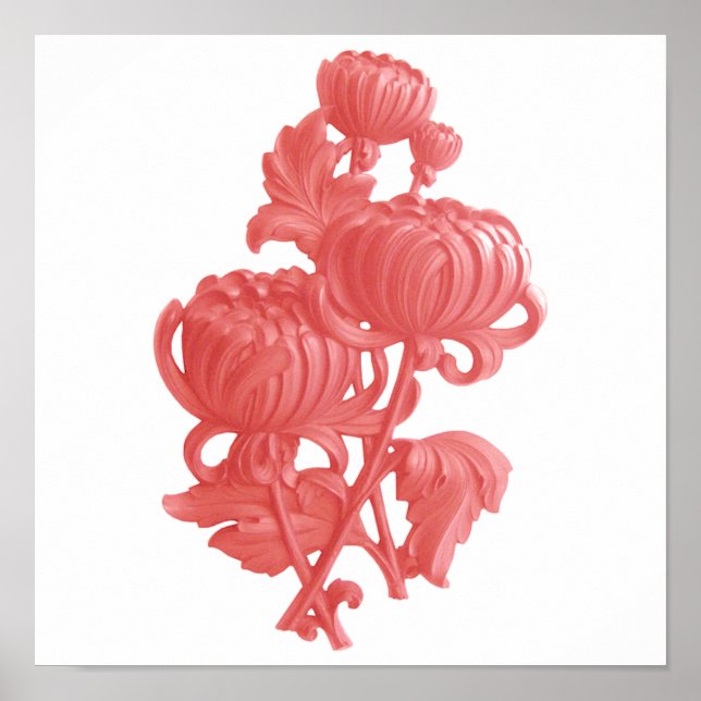 Poster Chrysanthemum Rosa (Frente)