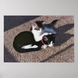 Pôster Chuda & Sami